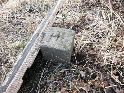 20200122hike (166)